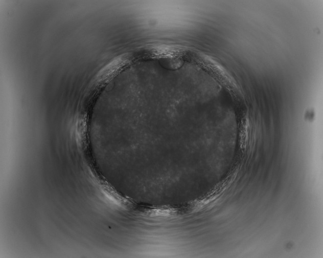 X0000098040314200804181303