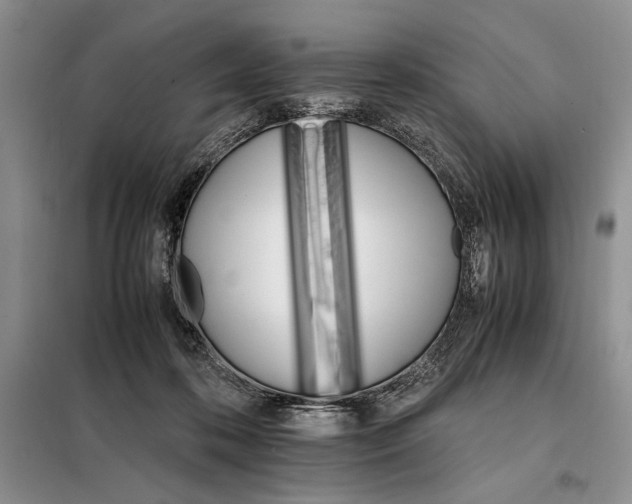 X0000098040316200804181303