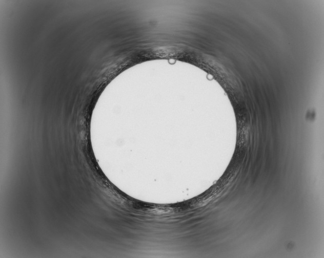 X0000098040317200804181303