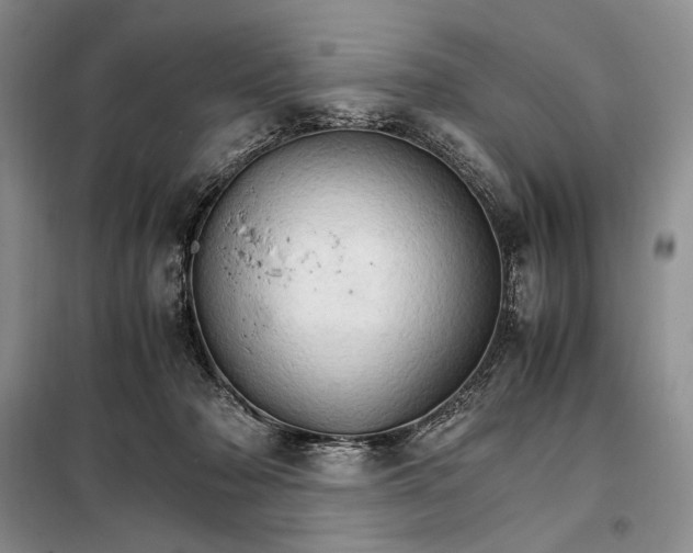 X0000098040318200804181303