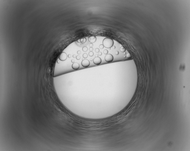 X0000098040319200804181303