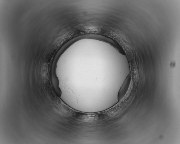 X0000098040320200804181303