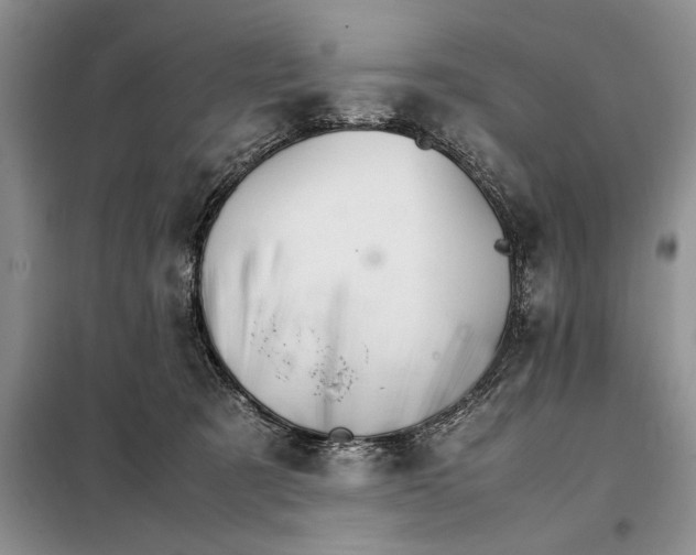 X0000098040321200804181303