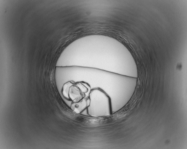 X0000098040323200804181303