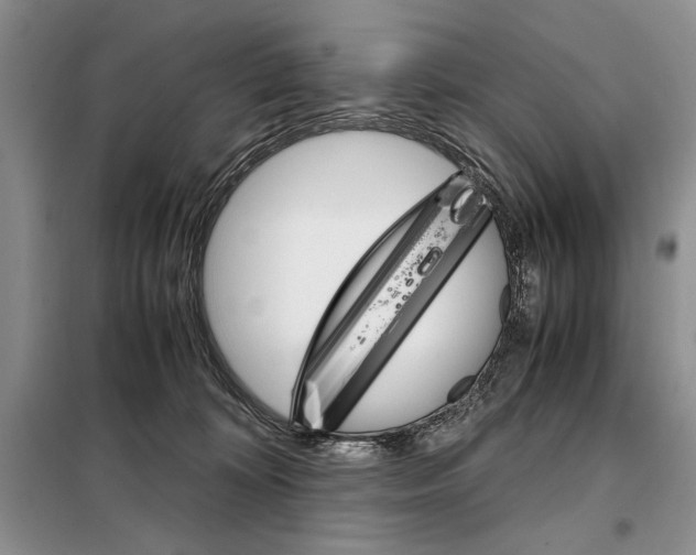 X0000098040324200804181303