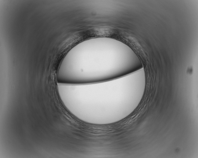 X0000098040325200804181303