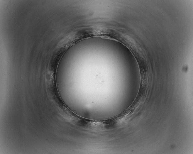 X0000098040327200804181303