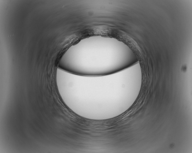 X0000098040329200804181303