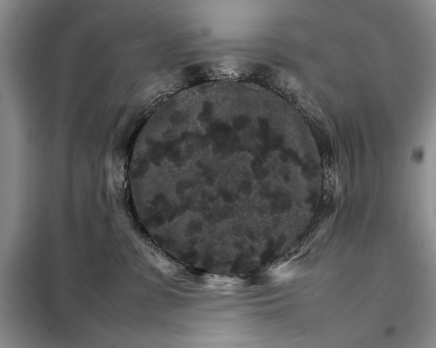 X0000098040331200804181303