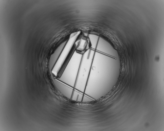 X0000098040332200804181303