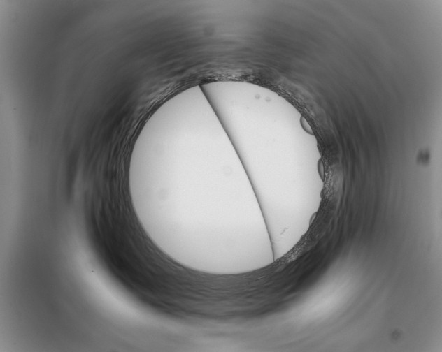 X0000098040335200804181303