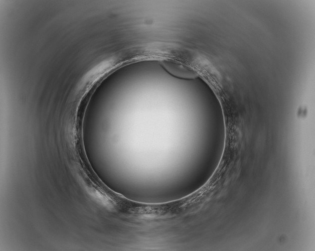 X0000098040338200804181302