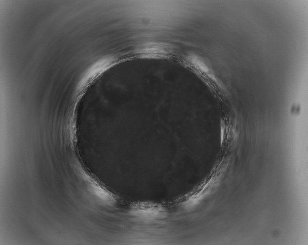 X0000098040339200804181302