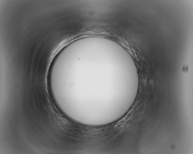 X0000098040340200804181302