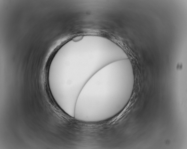 X0000098040342200804181302