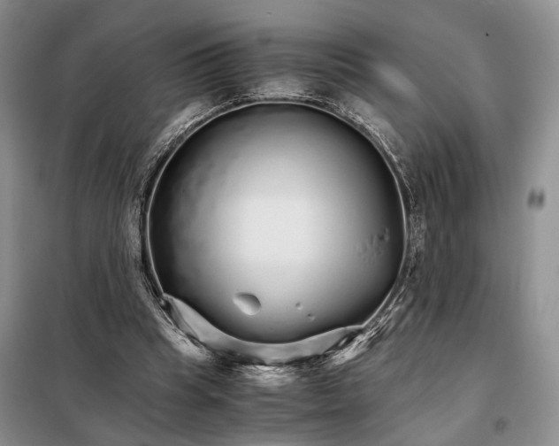 X0000098040345200804181302