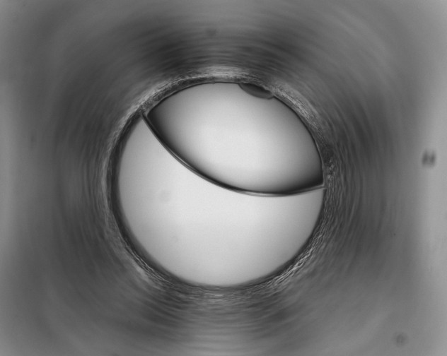 X0000098040350200804181302