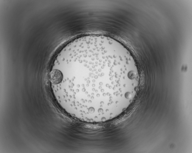 X0000098040351200804181302