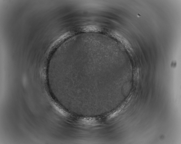 X0000098040353200804181302