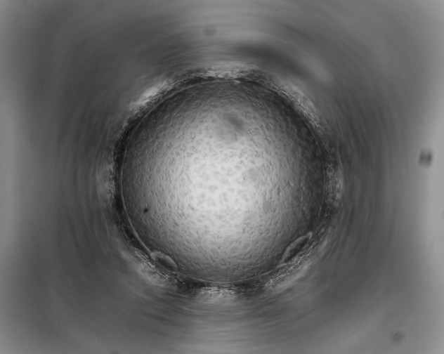 X0000098040354200804181302