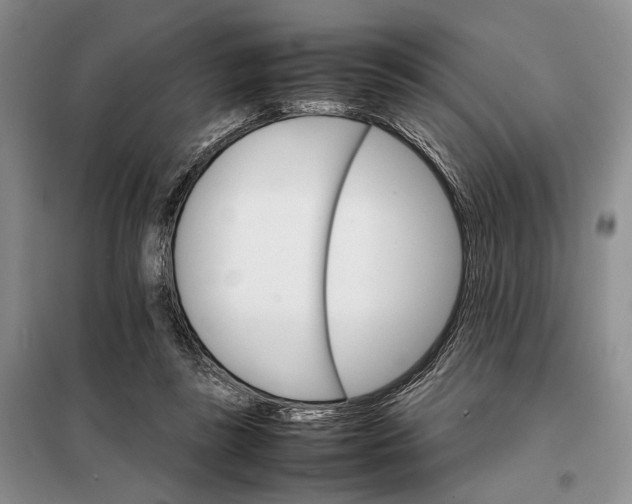 X0000098040355200804181302