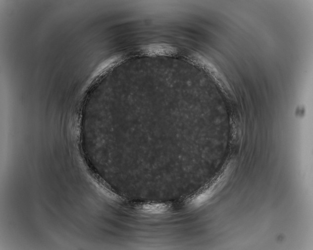 X0000098040357200804181302