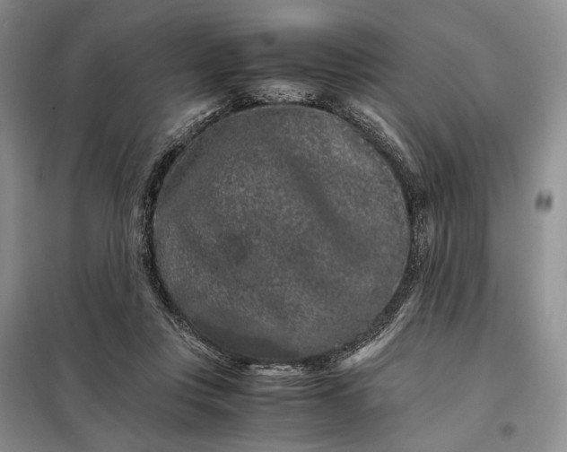 X0000098040359200804181302