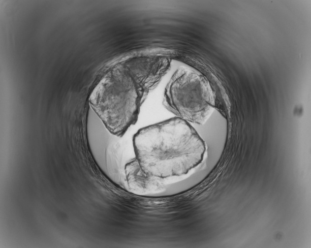 X0000098040361200804181302