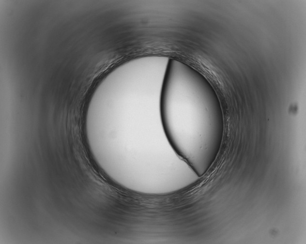 X0000098040362200804181302