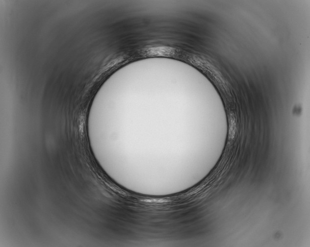 X0000098040363200804181302