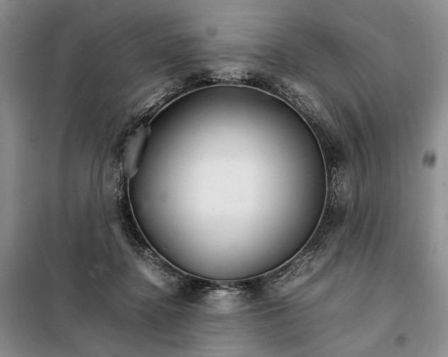 X0000098040364200804181302