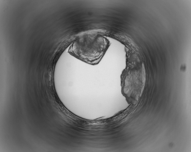 X0000098040365200804181302