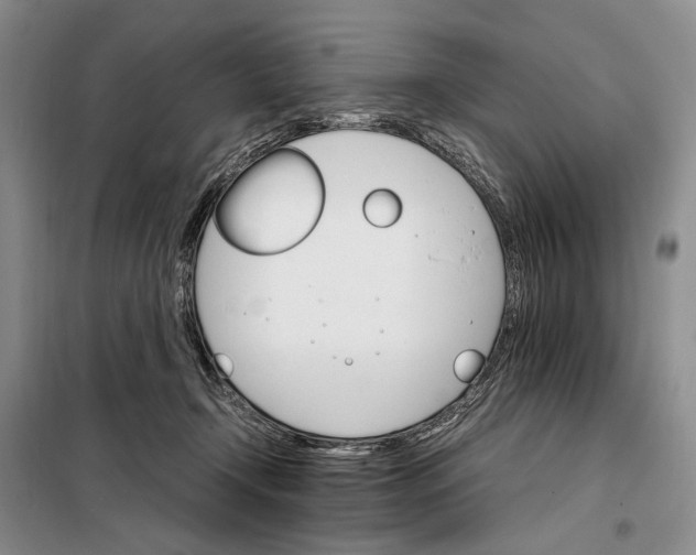 X0000098040366200804181302