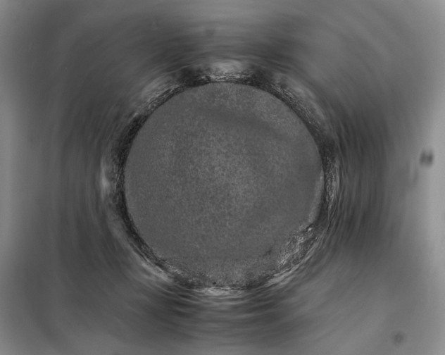 X0000098040367200804181302