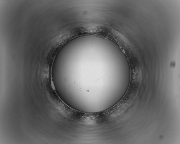 X0000098040368200804181302