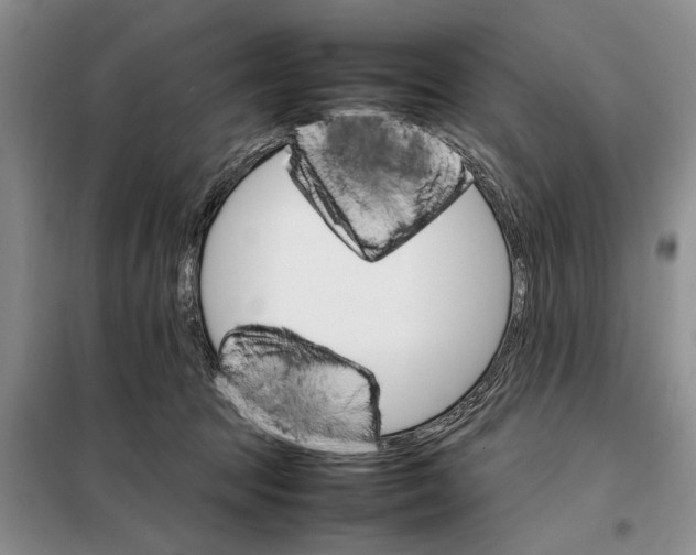 X0000098040369200804181302