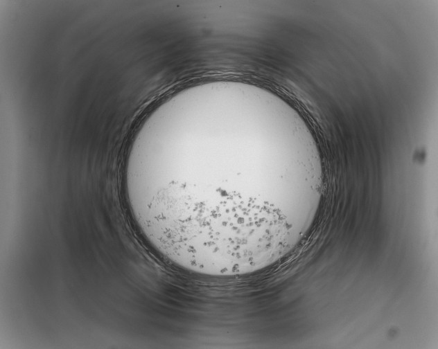 X0000098040370200804181302