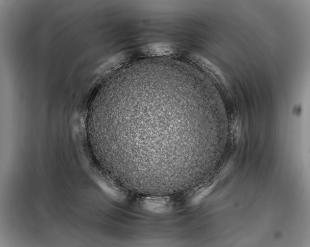 X0000098040373200804181303