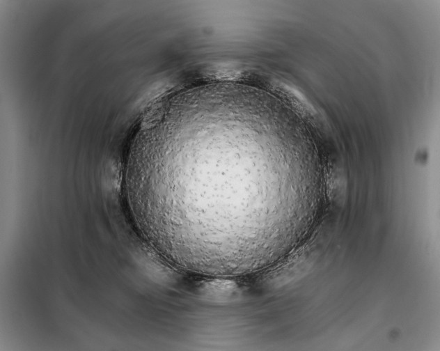 X0000098040374200804181303