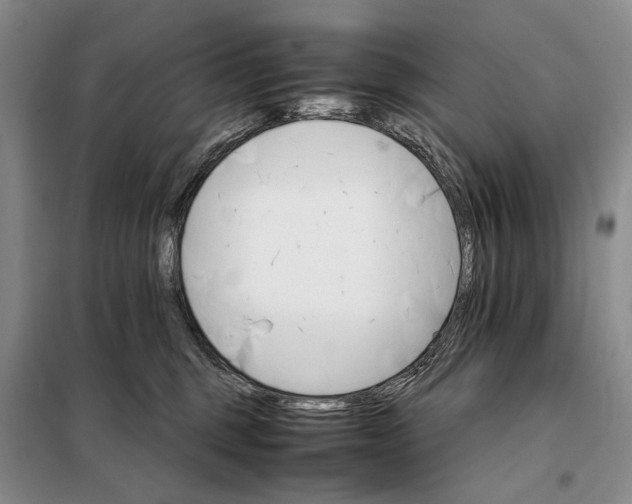 X0000098040375200804181303