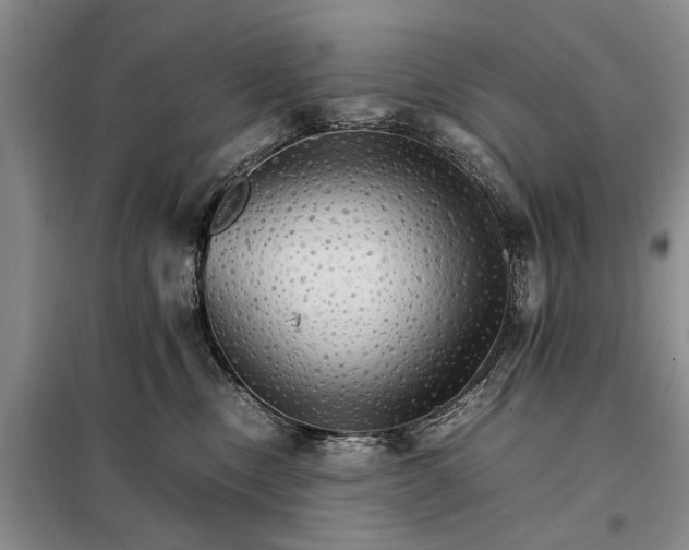 X0000098040378200804181303