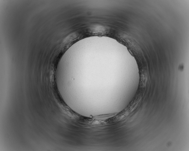 X0000098040379200804181303