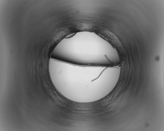 X0000098040380200804181303