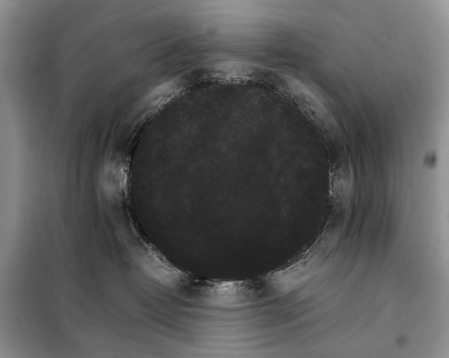 X0000098040382200804181303