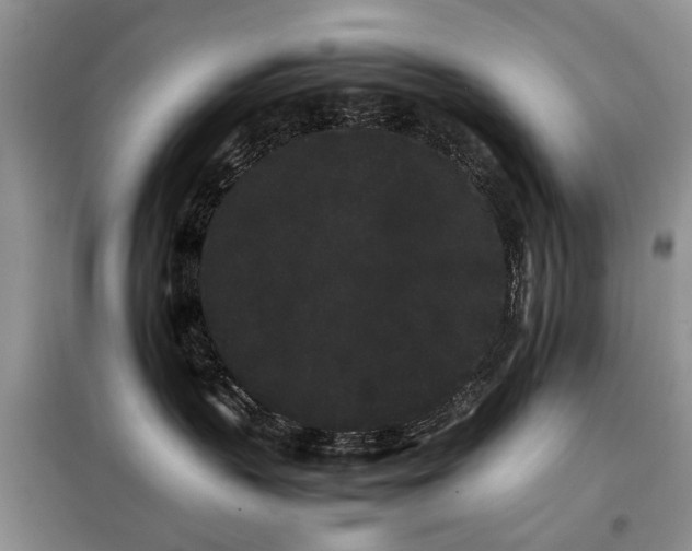 X0000098040383200804181303