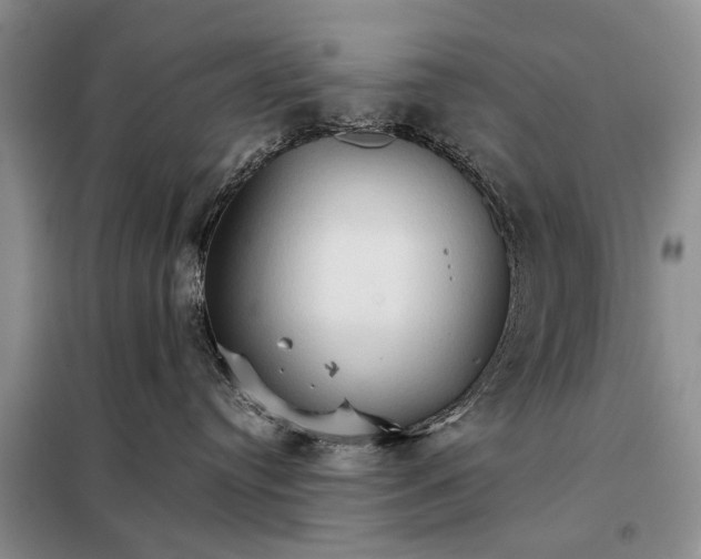 X0000098040384200804181303