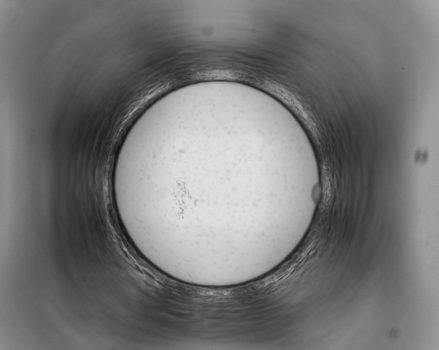 X0000098040386200804181302