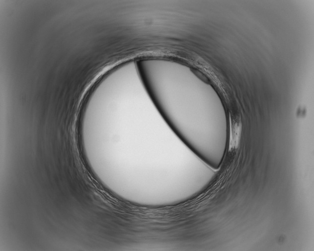 X0000098040387200804181302