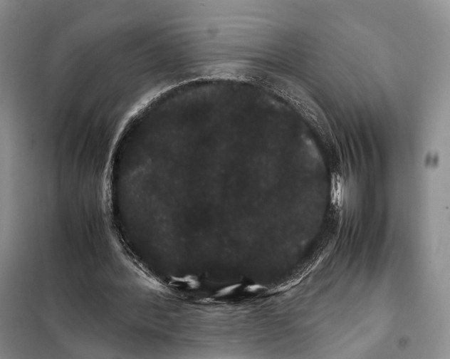 X0000098040388200804181302