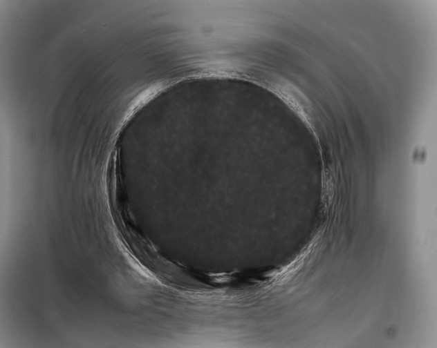 X0000098040389200804181302